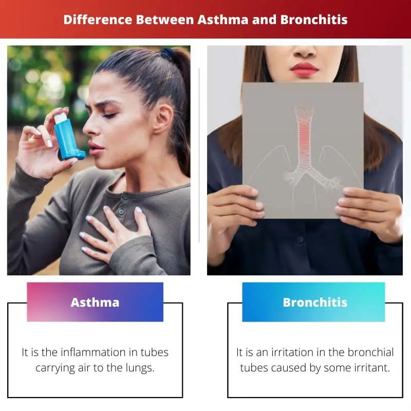 Difference Between Asthma and Bronchitis