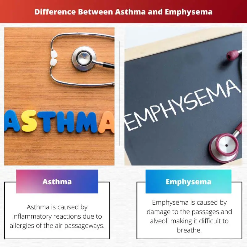 Difference Between Asthma and Emphysema