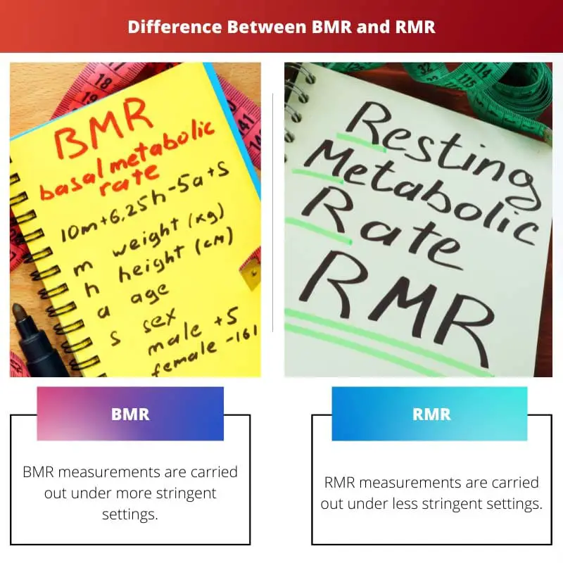 Difference Between BMR and RMR