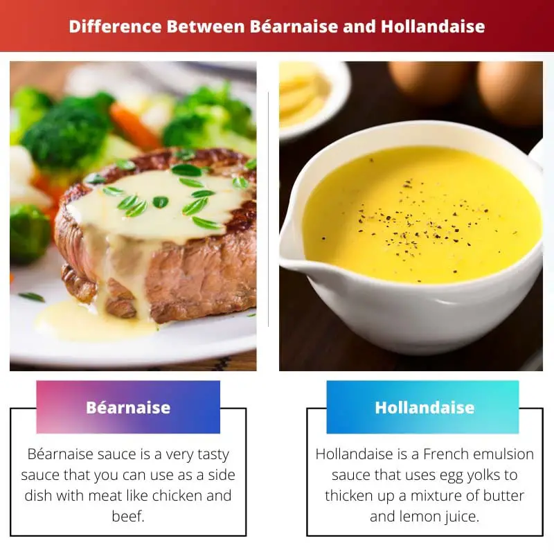 Difference Between Bearnaise and Hollandaise