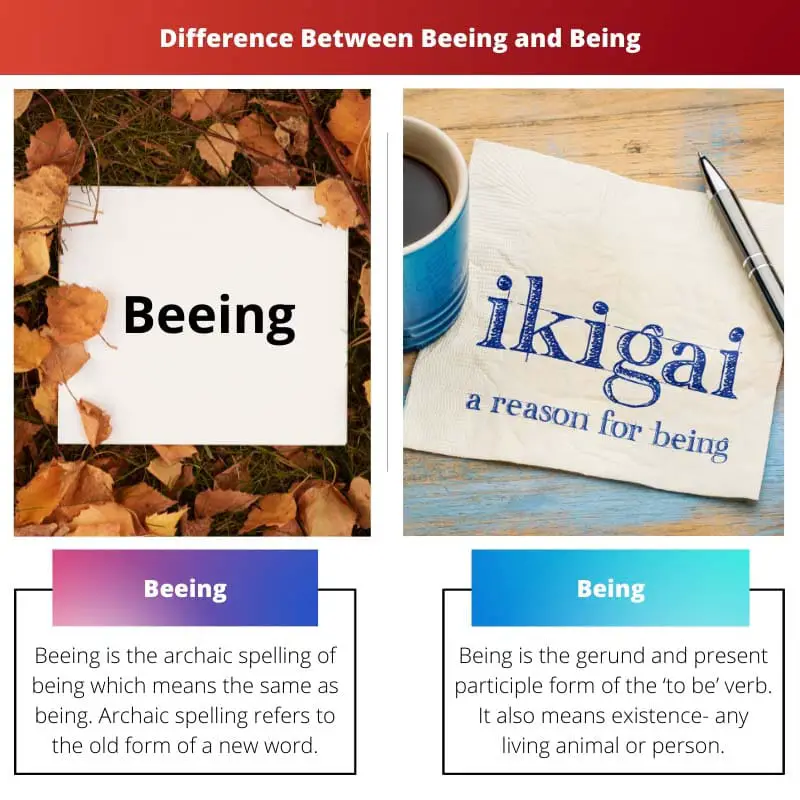 Difference Between Beeing and Being
