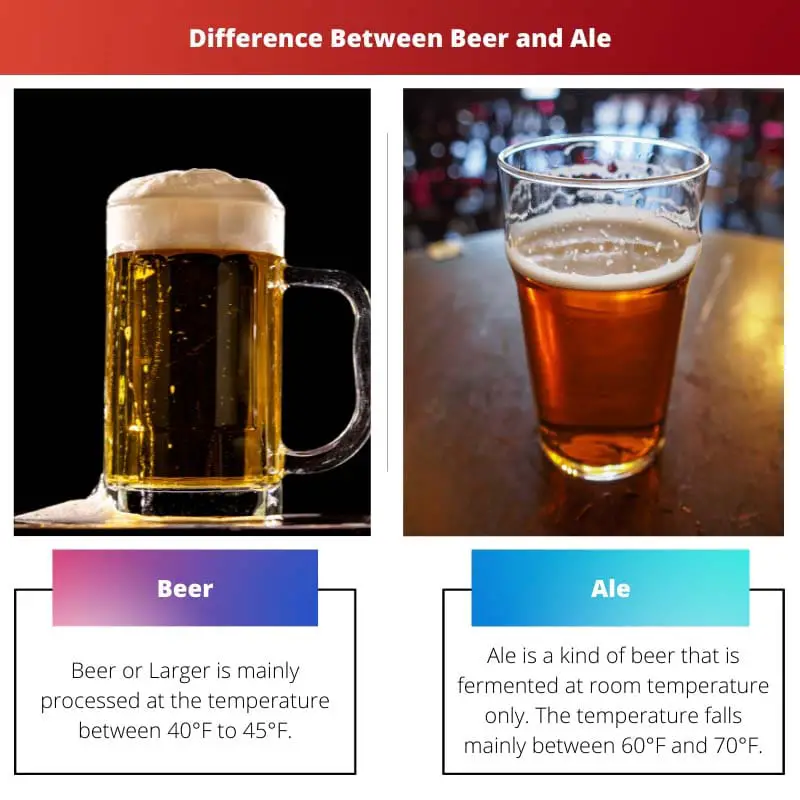 Difference Between Beer and Ale