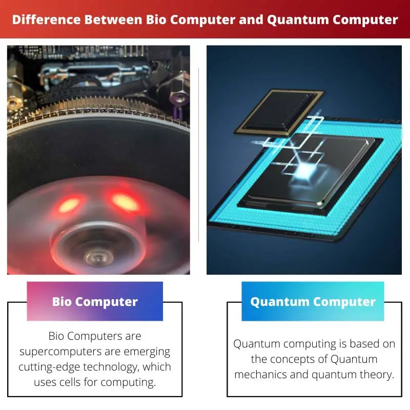 Difference Between Bio Computer and Quantum Computer