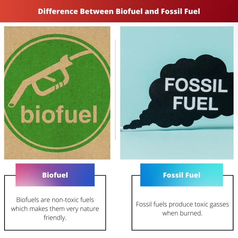 Difference Between Biofuel and Fossil Fuel