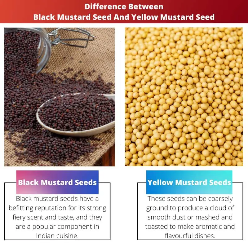 Difference Between Black Mustard Seed And Yellow Mustard Seed