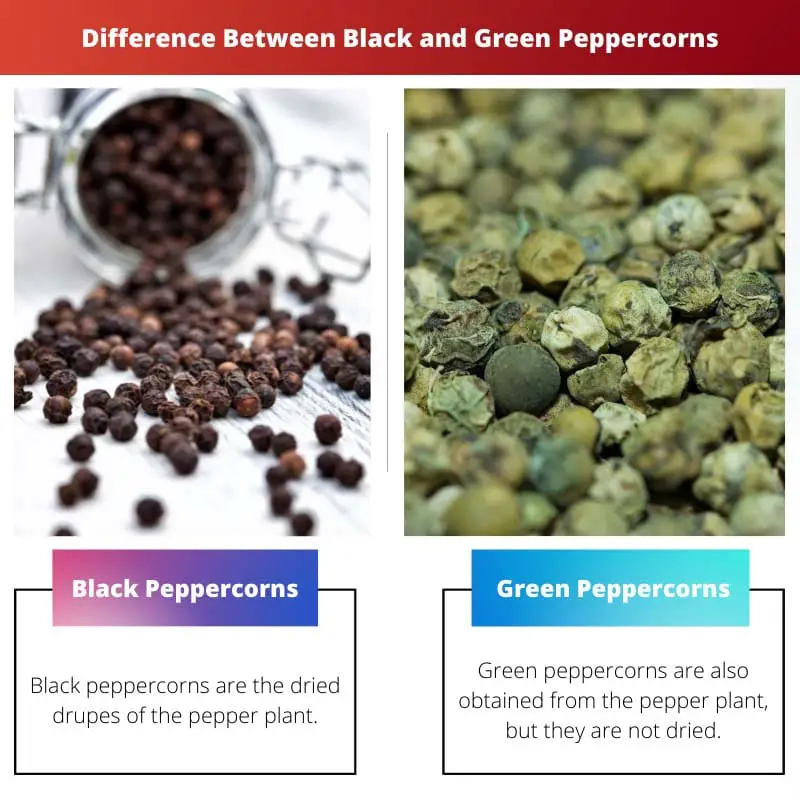 Difference Between Black and Green Peppercorns
