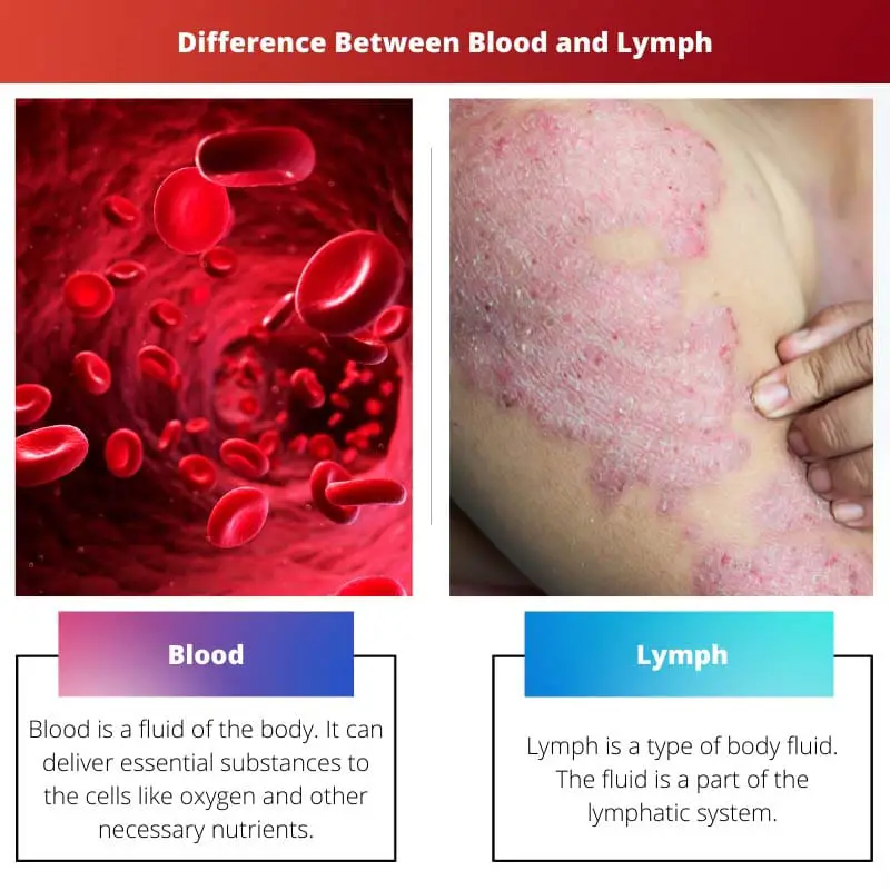 Difference Between Blood and Lymph