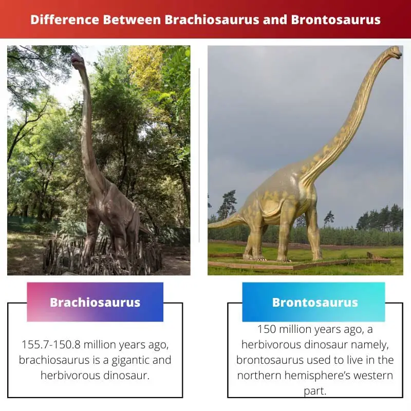 Difference Between Brachiosaurus and Brontosaurus