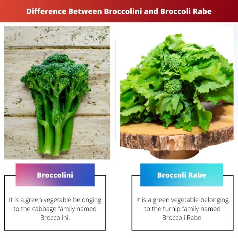 Difference Between Broccolini and Broccoli Rabe