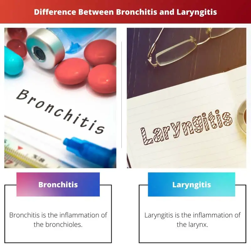 Difference Between Bronchitis and Laryngitis