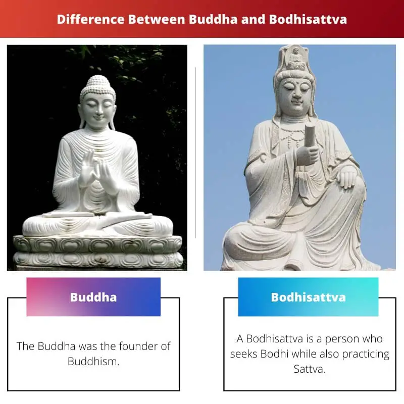 Difference Between Buddha and Bodhisattva