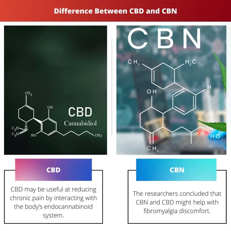 Difference Between CBD and CBN