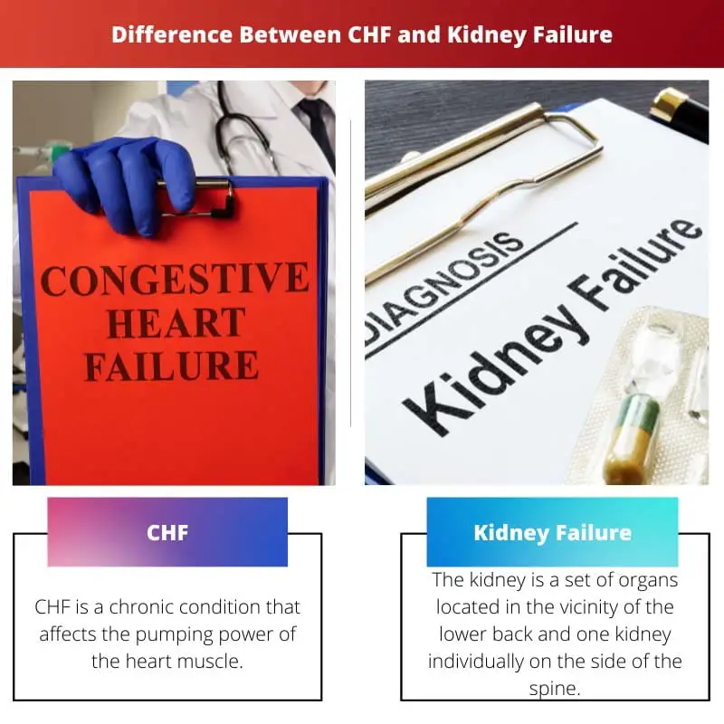 Difference Between CHF and Kidney Failure