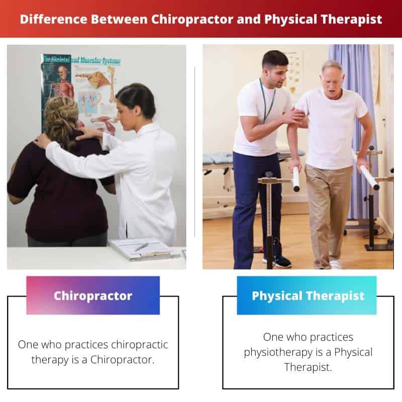 Chiropractor Vs Physical Therapist: Difference And Comparison