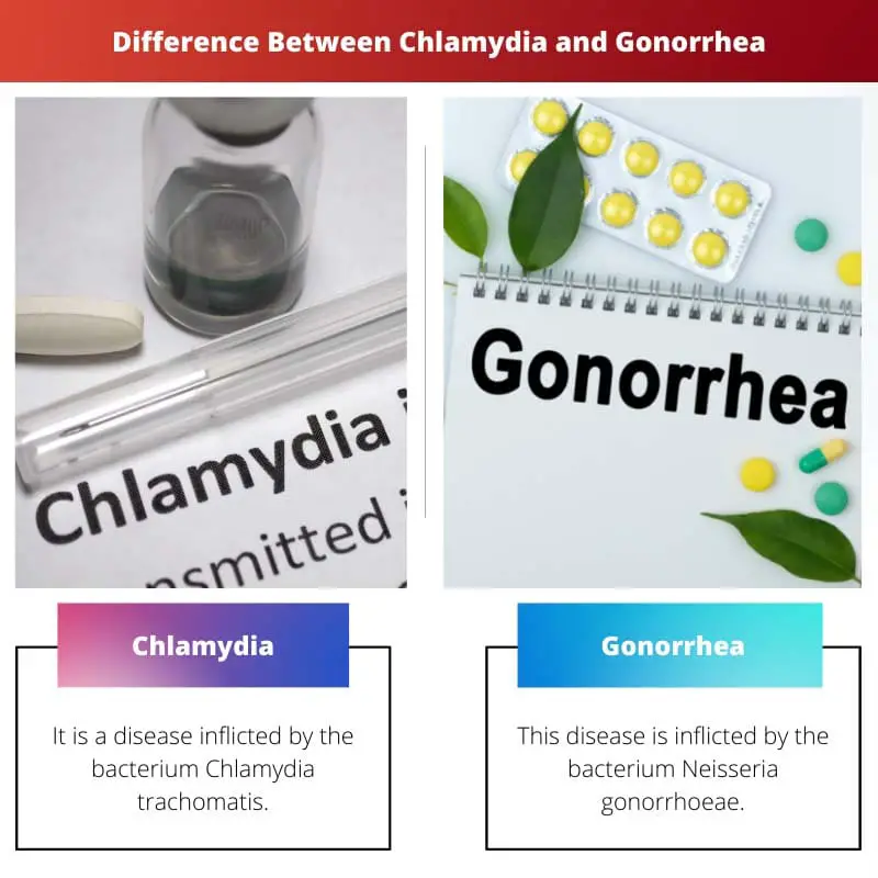 Difference Between Chlamydia and Gonorrhea