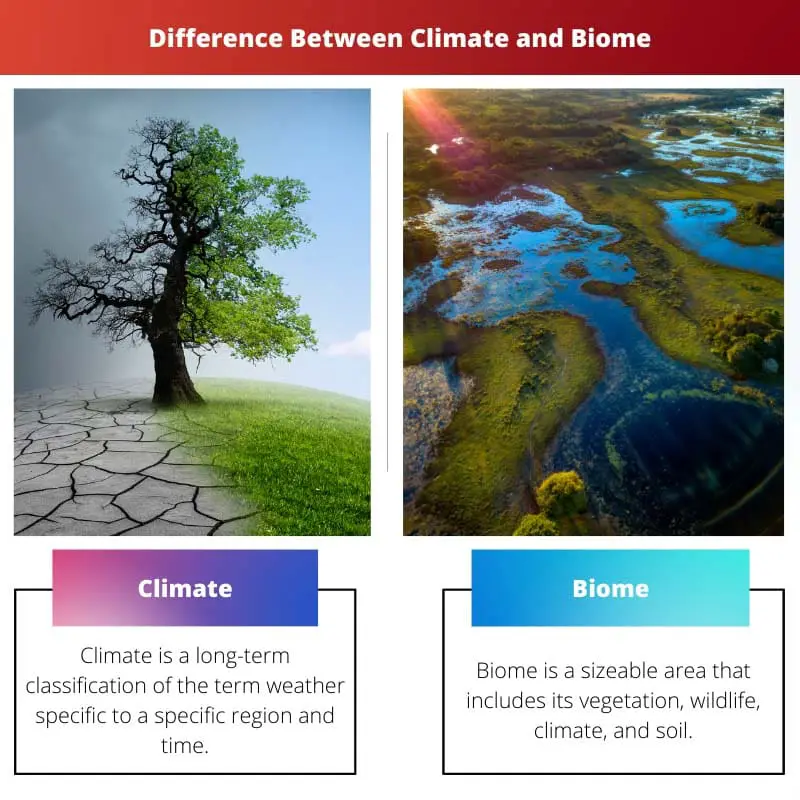 Difference Between Climate and Biome