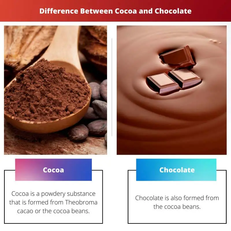 Difference Between Cocoa and Chocolate