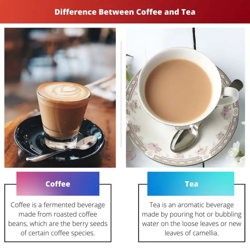 Difference Between Coffee and Tea