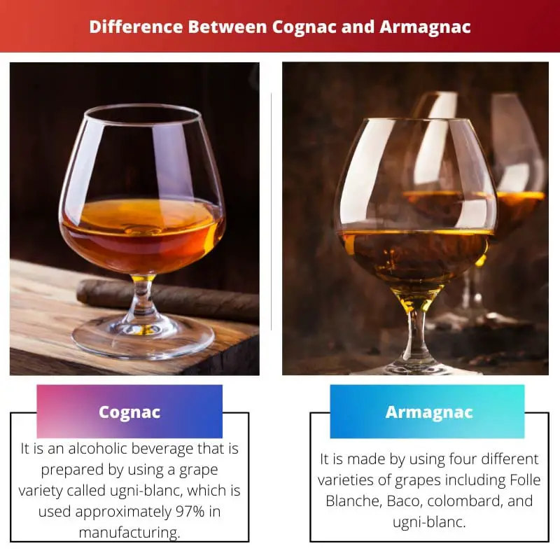 Difference Between Cognac and Armagnac