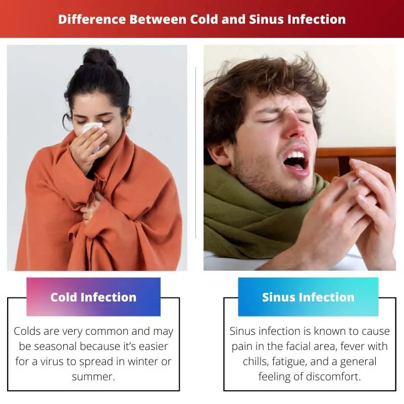 Difference Between Cold and Sinus Infection