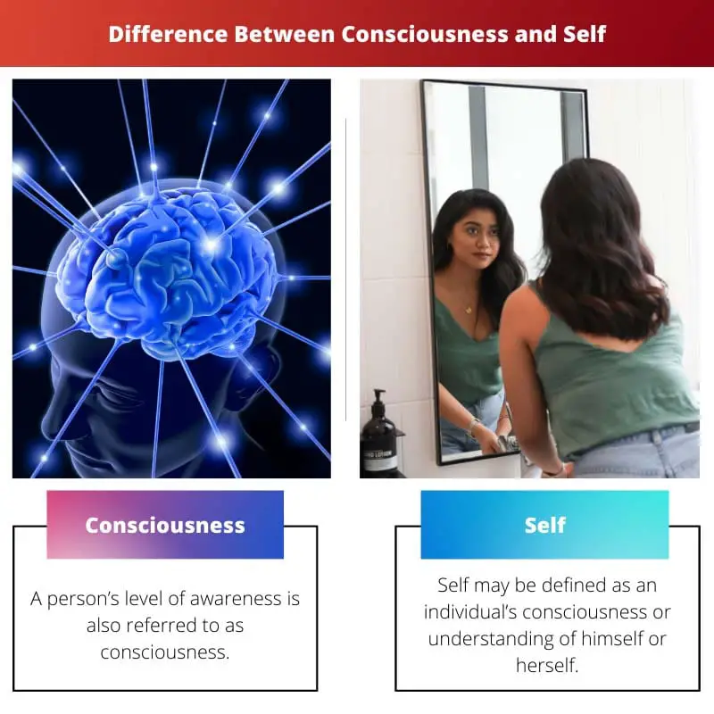Difference Between Consciousness and Self