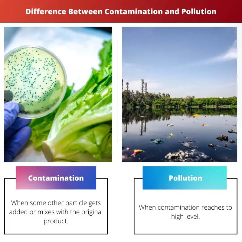 Difference Between Contamination and Pollution