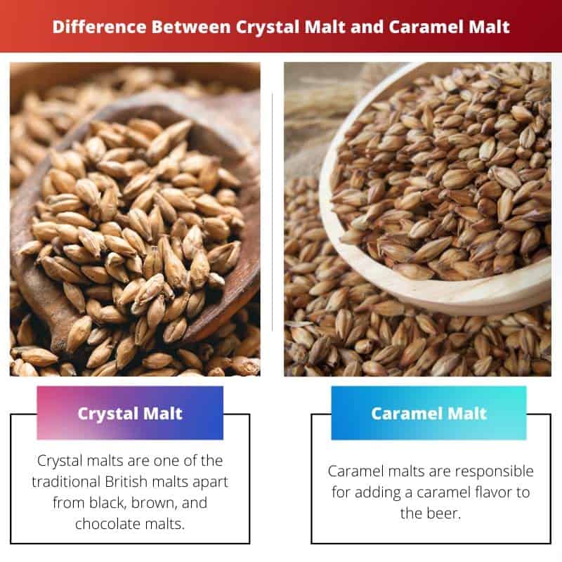 Crystal Malt vs Caramel Malt: Difference and Comparison