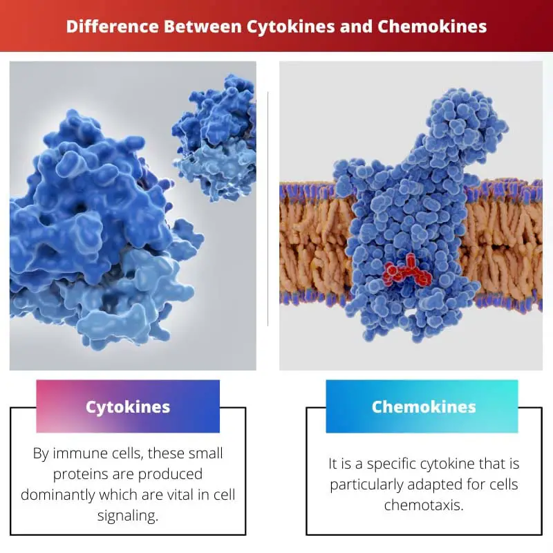 Difference Between Cytokines and Chemokines