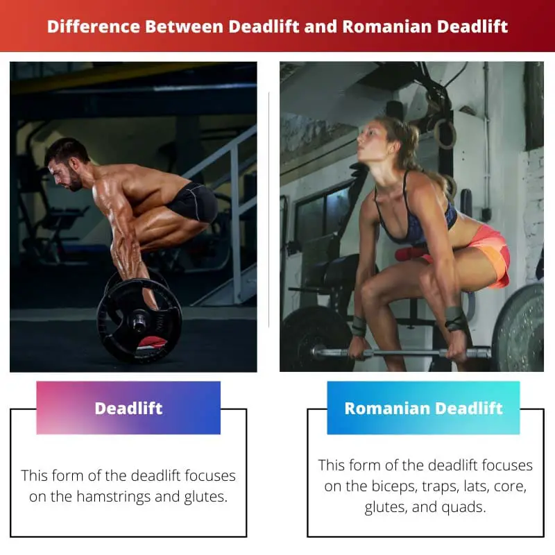 Difference Between Deadlift and Romanian Deadlift