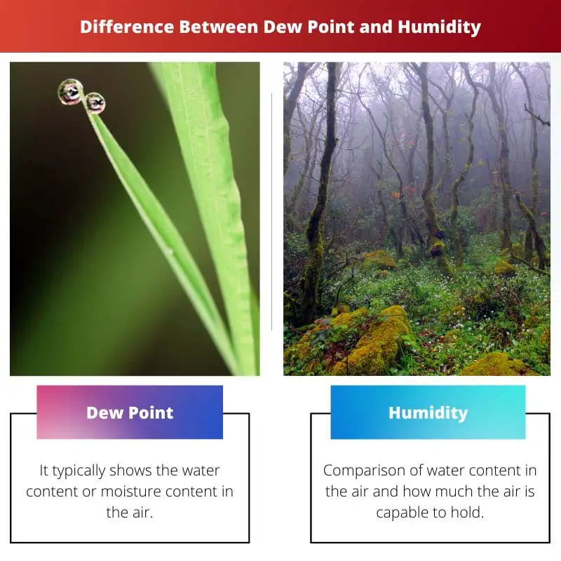Difference Between Dew Point and Humidity