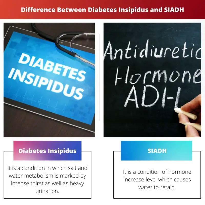 Difference Between Diabetes Insipidus and SIADH