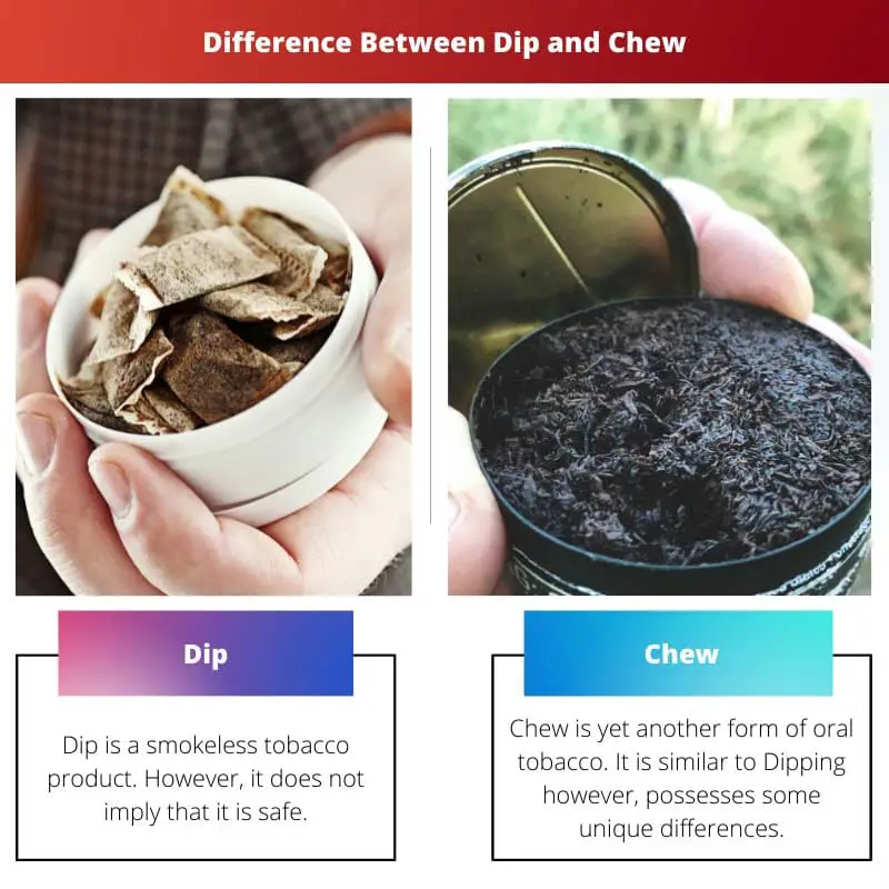 Difference Between Dip and Chew