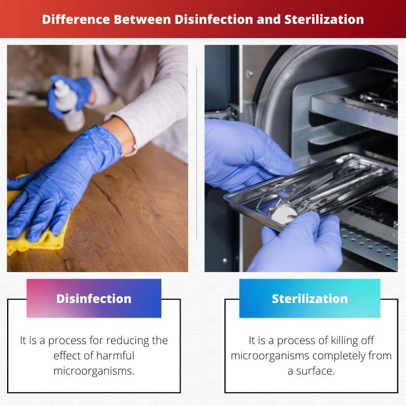 Difference Between Disinfection and Sterilization
