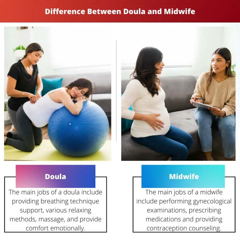 Difference Between Doula and Midwife