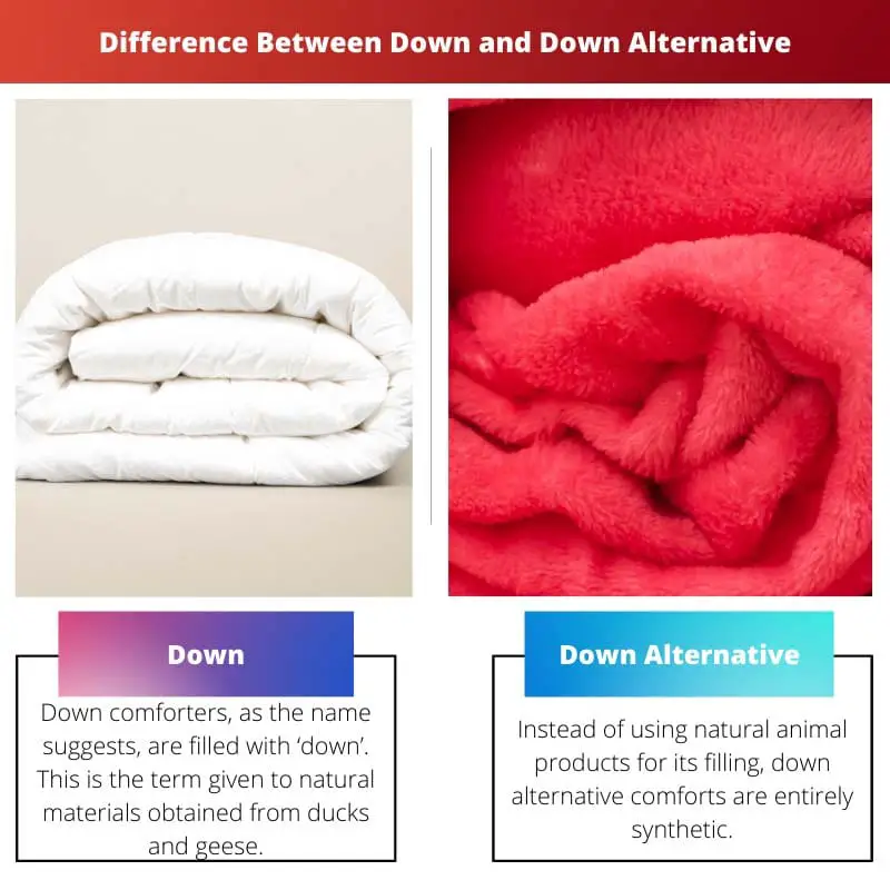 Difference Between Down and Down Alternative