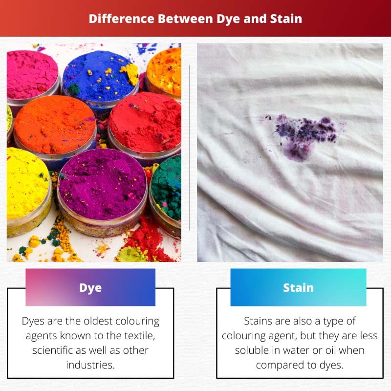 Difference Between Dye and Stain