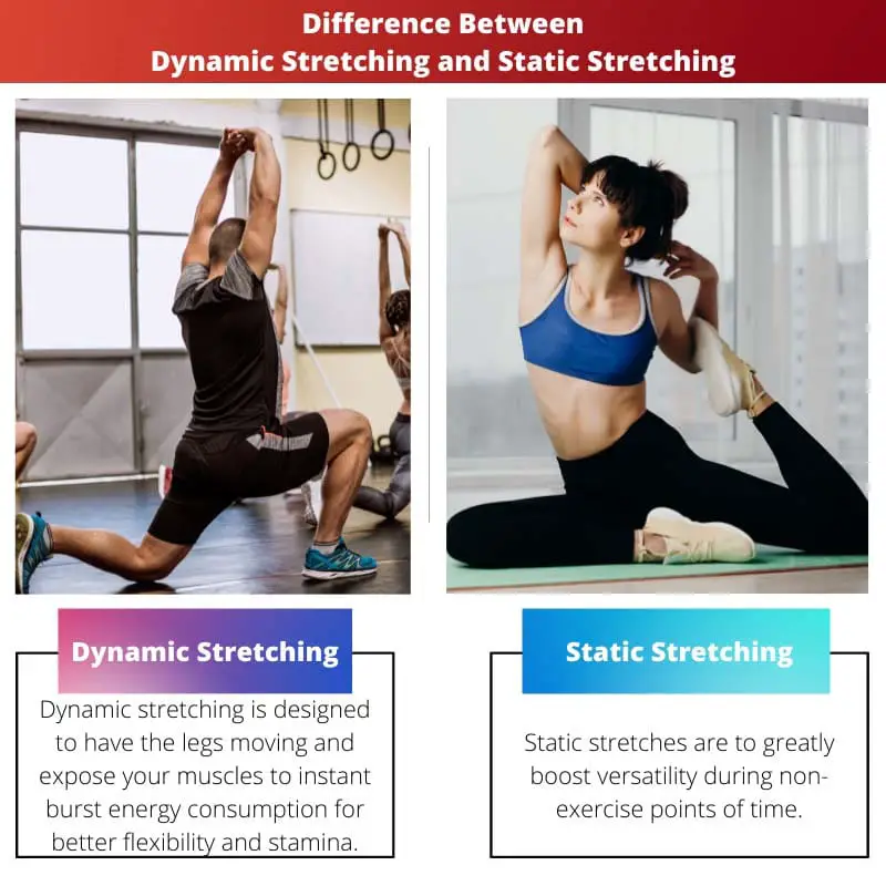 Difference Between Dynamic Stretching and Static Stretching