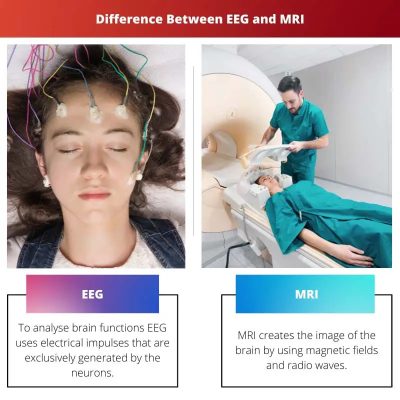 Difference Between EEG and MRI