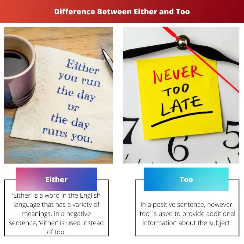 Difference Between Either and Too