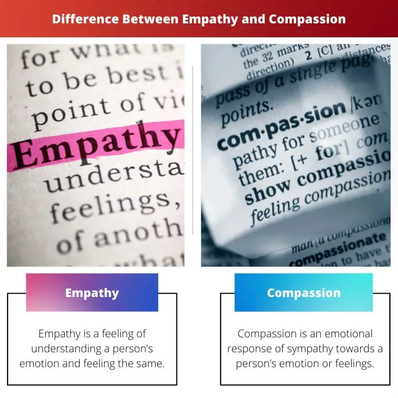 Difference Between Empathy and Compassion