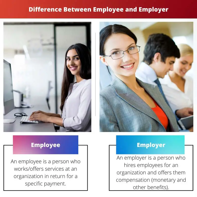 Difference Between Employee and Employer