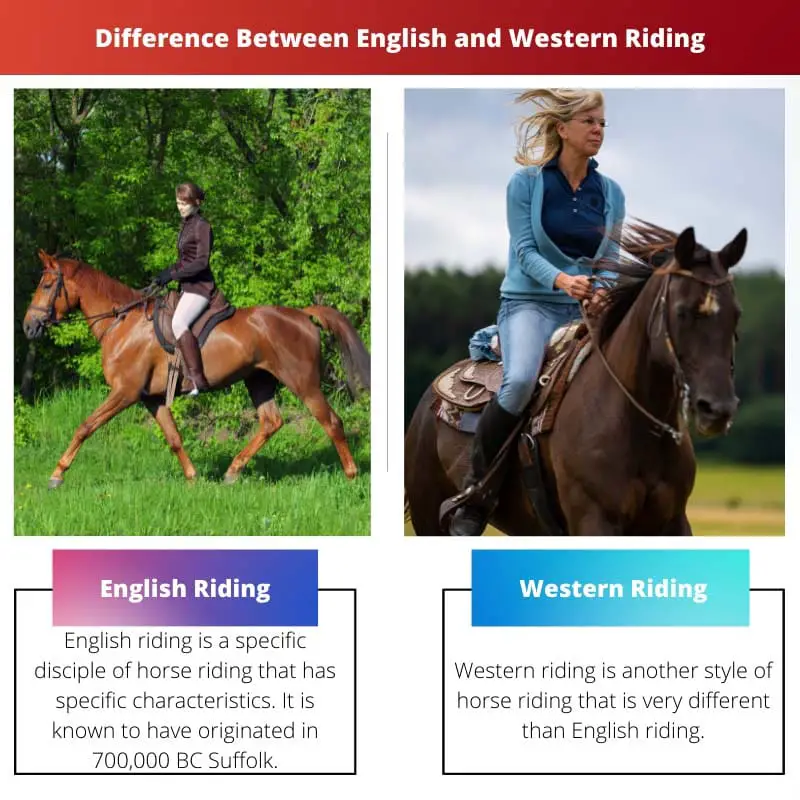 Difference Between English and Western Riding
