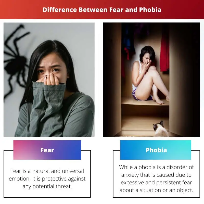 Difference Between Fear and Phobia