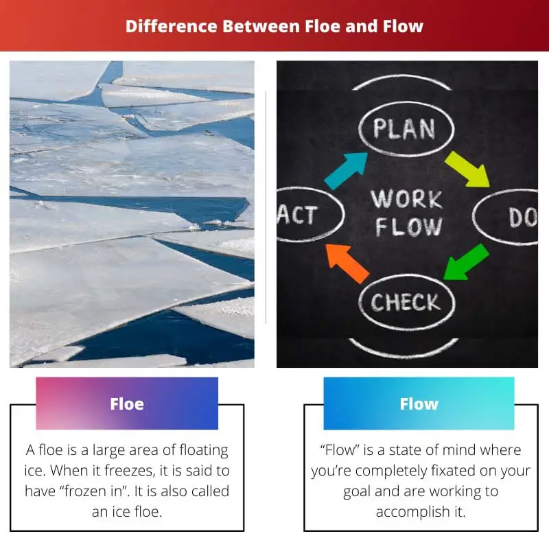 Difference Between Floe and Flow