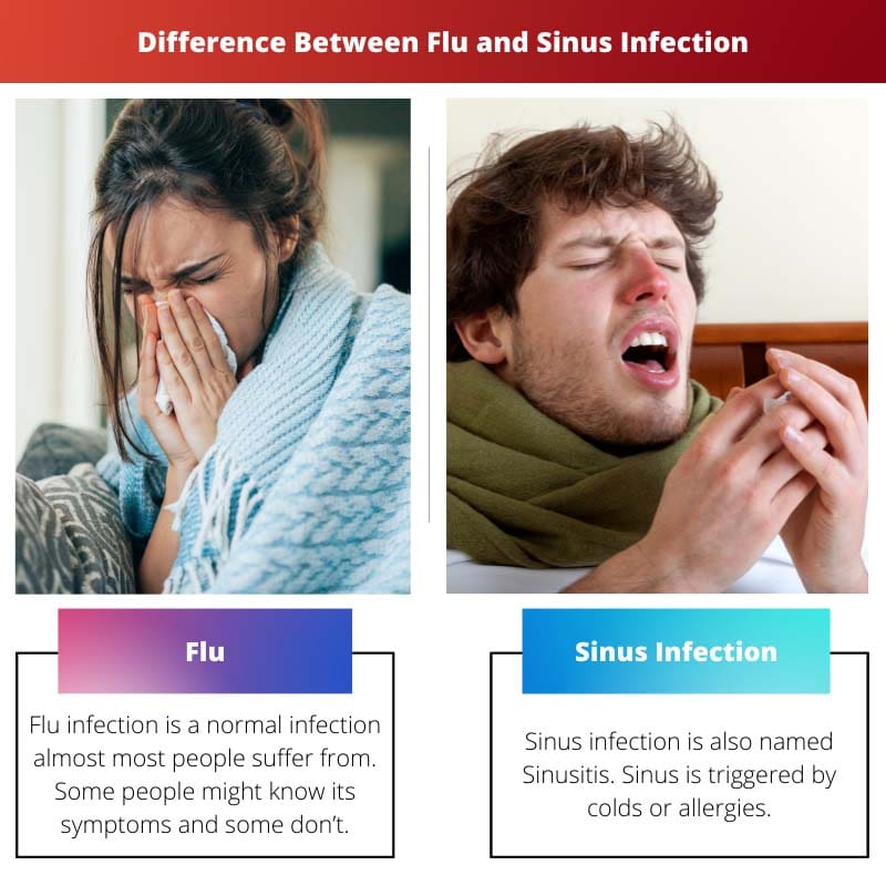Difference Between Flu and Sinus Infection
