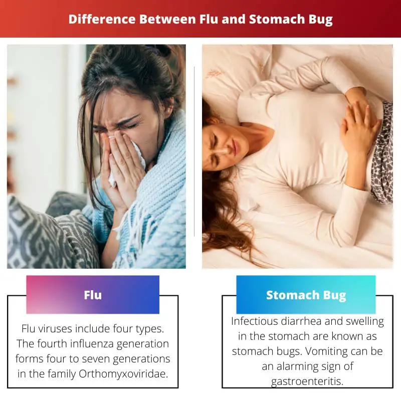 Difference Between Flu and Stomach Bug