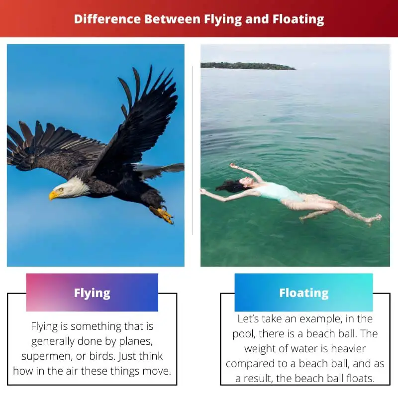 Difference Between Flying and Floating