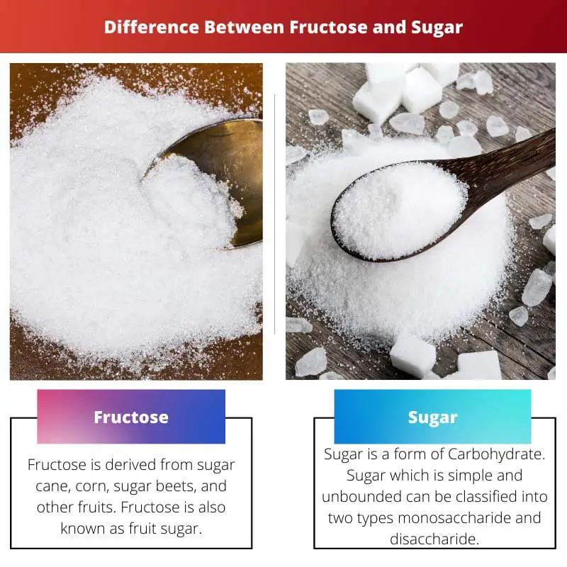 Difference Between Fructose and Sugar