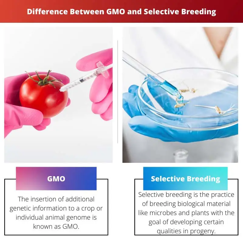 Difference Between GMO and Selective Breeding