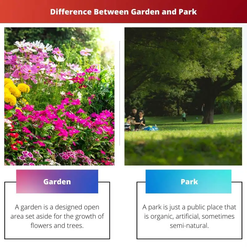 Difference Between Garden and Park